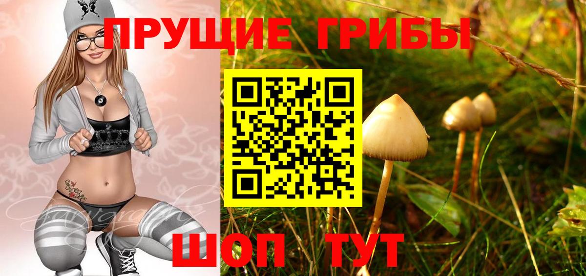 Псилоцибиновые грибы GOLDEN TEACHER  Вход с VPN  Азнакаево 