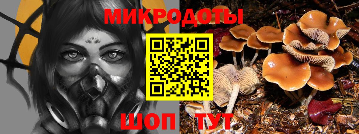 Псилоцибиновые грибы Psilocybe Азнакаево